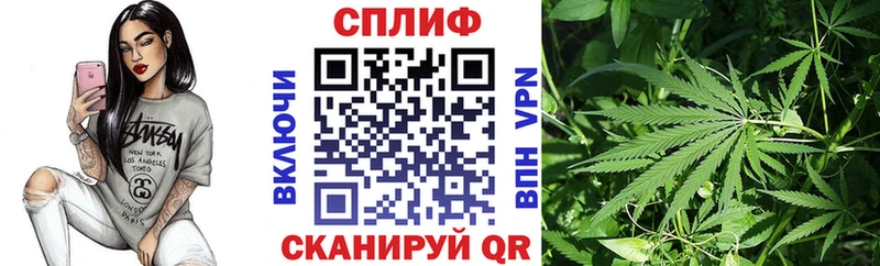 ОМГ ОМГ ссылки  хочу наркоту  shop Telegram  Канабис сатива  Дагестанские Огни 